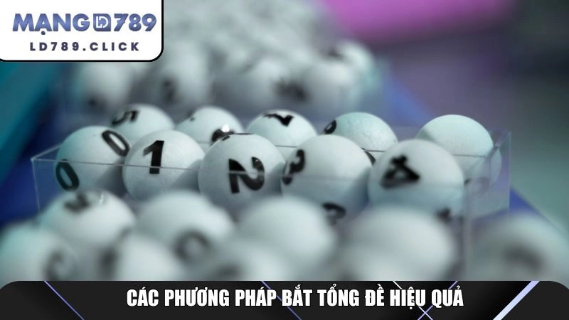 Các phương pháp bắt tổng đề hiệu quả