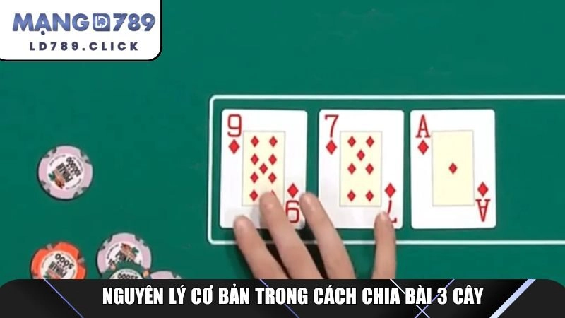 Nguyên lý cơ bản trong cách chia bài 3 cây
