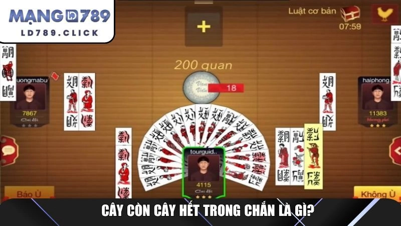 Cây còn cây hết trong chắn là gì?