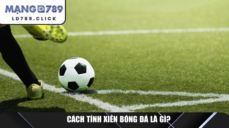 Cách tính xiên bóng đá là gì?