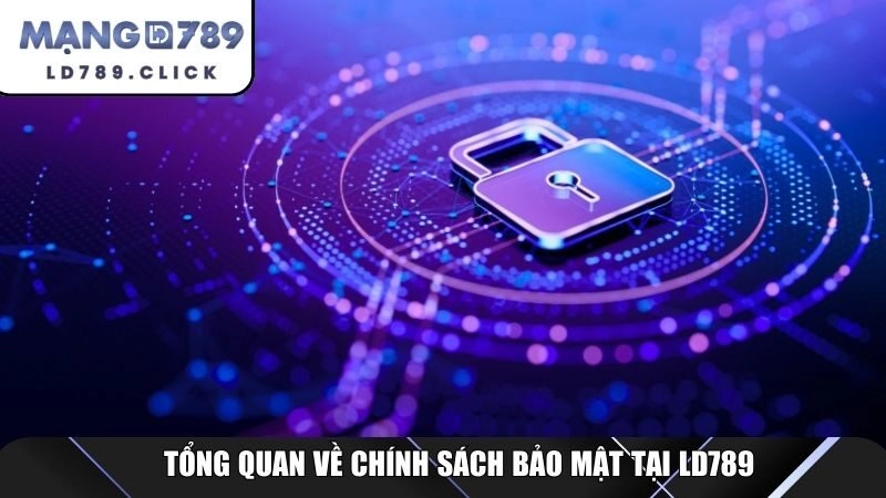 Tổng quan về chính sách bảo mật tại LD789