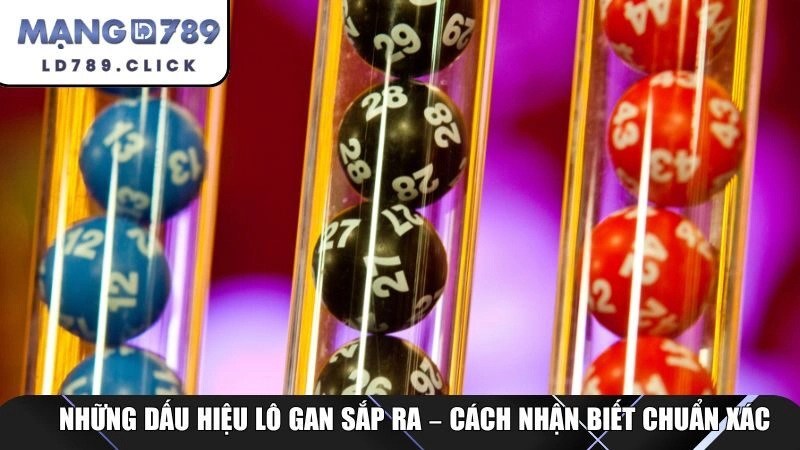 Những dấu hiệu lô gan sắp ra – cách nhận biết chuẩn xác