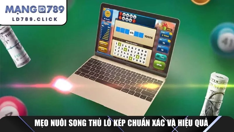 Mẹo nuôi song thủ lô kép chuẩn xác và hiệu quả