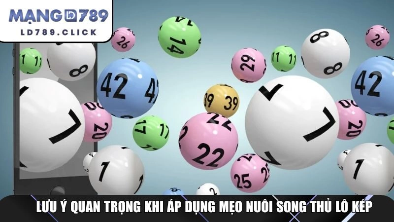 Lưu ý quan trọng khi áp dụng mẹo nuôi song thủ lô kép