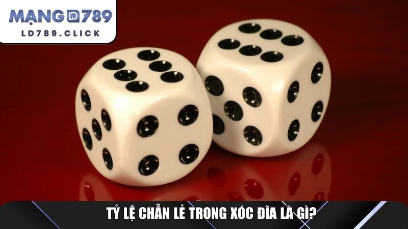 Tỷ lệ chẵn lẻ trong xóc đĩa là gì?