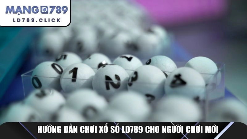 Hướng dẫn chơi xổ số LD789 cho người chơi mới